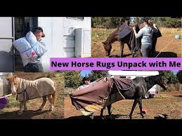 new horse rugs unpack with me and try