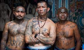 Over time, the gang grew into a more traditional criminal organization. The Gangs Of El Salvador Inside The Prison The Guards Are Too Afraid To Enter Photography The Guardian