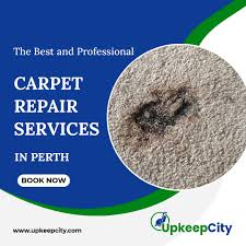 ranked no 1 carpet repair perth