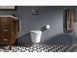 Compact Elongated Dual Flush Toilet