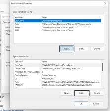 path environment variable in windows 11