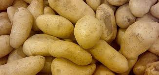 Horrific Tales Of Potatoes That Caused