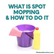 what is spot mopping and how to do it