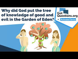 why did put the tree of knowledge