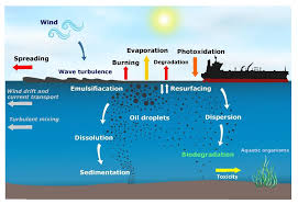 oil spill modeling