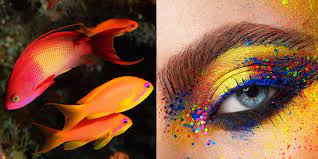 this makeup inspired by marine life is