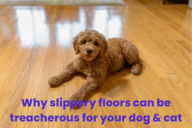 why slippery floors can be treacherous