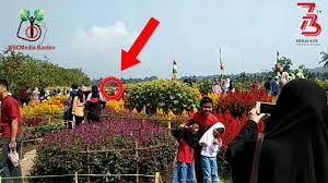 Taman bunga nusantara terlihat seperti taman bunga yang berada di eropa lho. Taman Bunga Rokoy Bpi Pandeglang Banten Youtube