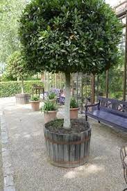 Diy Garden Fountains Wine Barrel