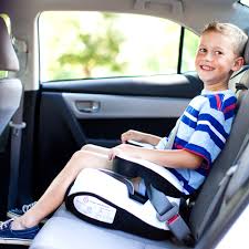 Buckle Up With Brutus Child Car