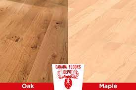 oak vs maple what are their advanes