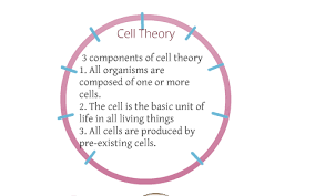 cell theory by adam rivard