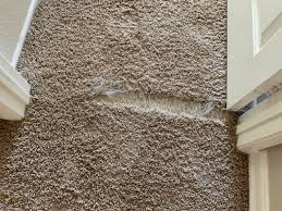 pet damage carpet repair oc carpet repair