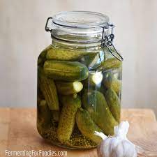 lacto fermented dill pickles