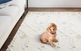 pet friendly rugs kathy kuo home