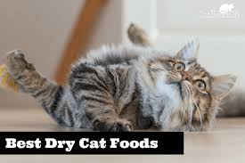 Catfooddb Unbiased Cat Food Reviews