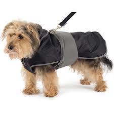 Ancol Muddy Paws 2 In 1 Harness Dog Coat From 19 70