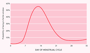 When Do You Ovulate Facts On The Ovulation Cycle Real Simple