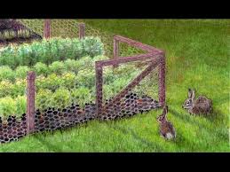 how to keep your garden from rabbits