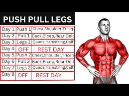push pull legs workout plan ppl you