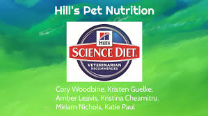 hill s pet nutrition marketing plan by