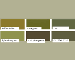 Colors Go With Olive Green In Wardrobe