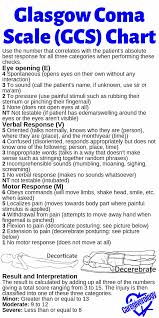 Glasgow Coma Scale Gcs Explained In Detail Caregiverology