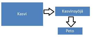 Kuvahaun tulos haulle ravintoketju