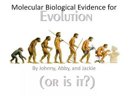 ppt molecular biological evidence for