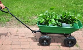 Best Gardening Tools For Your Yard