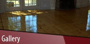 fissette floor sanding
