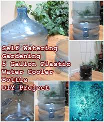 Measuring at 13.39 x 13.07 x 40.94 (l x w x h), this standing water jug holder can be detached so you can put it in different places. Self Watering Gardening 5 Gallon Plastic Water Cooler Bottle Diy Project The Homestead Survival