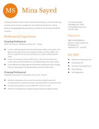 cleaning professional resume exles