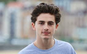 Timothee chalamet is an american actor that had his big breakthrough while starring in the romantic drama call me by your name although he had some noticeable performances before as well. Timothee Chalamet Breaks Silence On Denis Villeneuve S Dune Remake Indiewire
