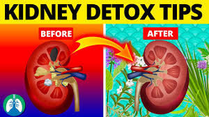 cleanse your kidneys naturally