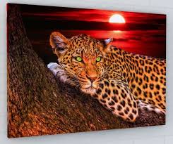 Abstract Stunning Leopard Canvas