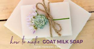 how to make goat milk soap cold
