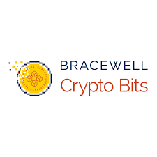 Bracewell Crypto Bits