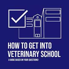 pre vet tool kit veterinary education