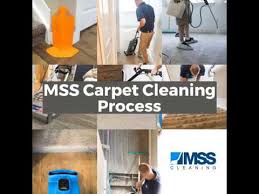 carpet cleaning in littleton co