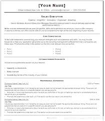 Resume Format It Professional Completely Free Resume Templates Word