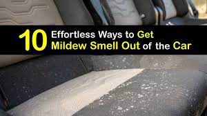 get rid of mildew smell removing