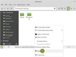 linux mint themes and icons beyond the