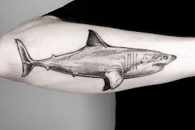 100 magnificent shark tattoos the