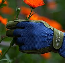 The Best Gardening Gloves To Buy Now