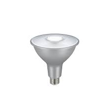 Ecosmart 150 Watt Equivalent Par38 Dimmable Flood Led Light Bulb Daylight 2 Pack