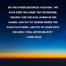 john 20 25 so the other disciples told