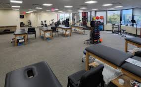 professional physical therapy kew