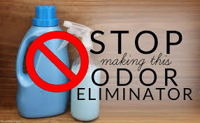 Stop Making This Homemade Odor Eliminator Bren Did