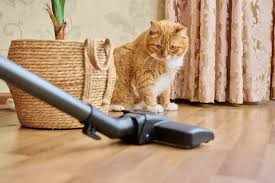 vacuums for tackling cat hair